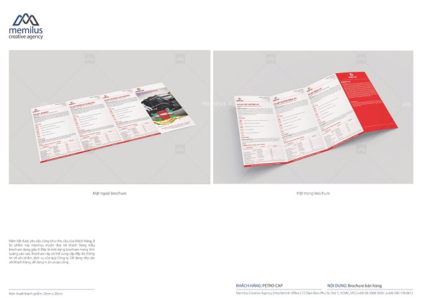 Dịch vụ thiết kế brochure - cầu kết nối giữa thương hiệu và khách hàng
